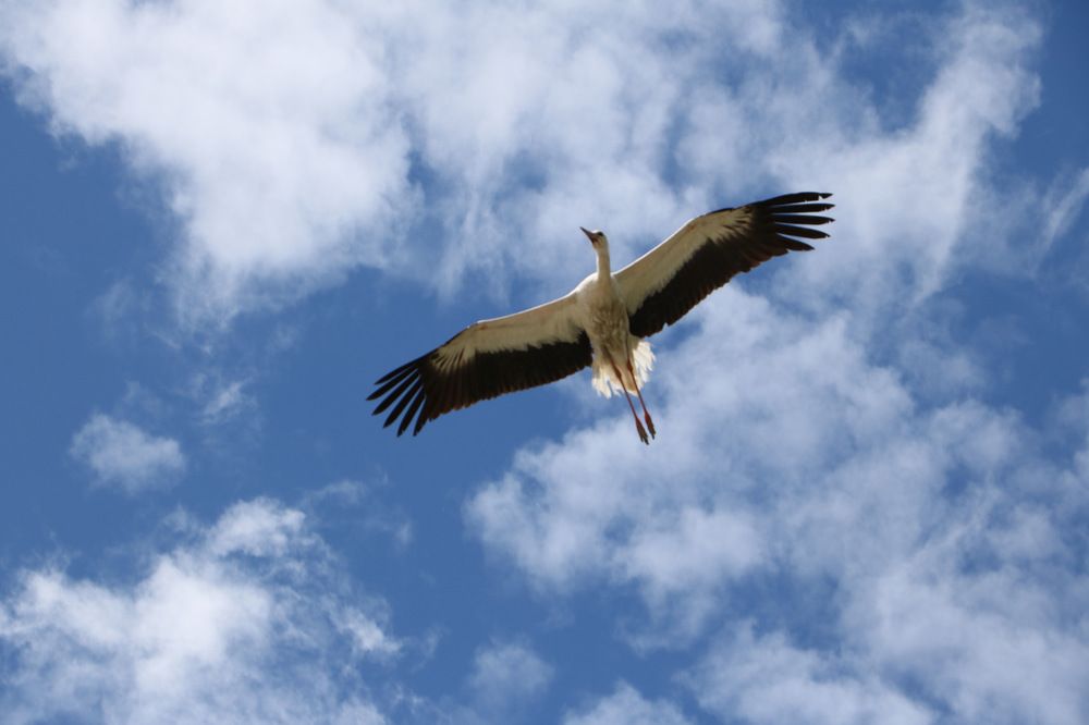 Photograph by Cengiz Yalcin