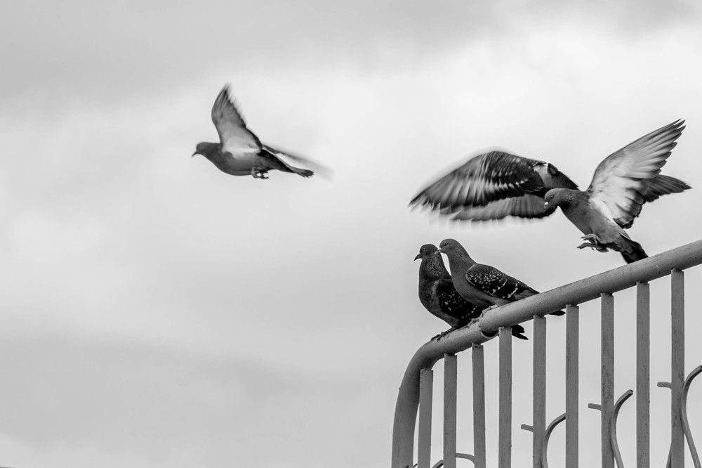 Photograph by Владислав Коневский