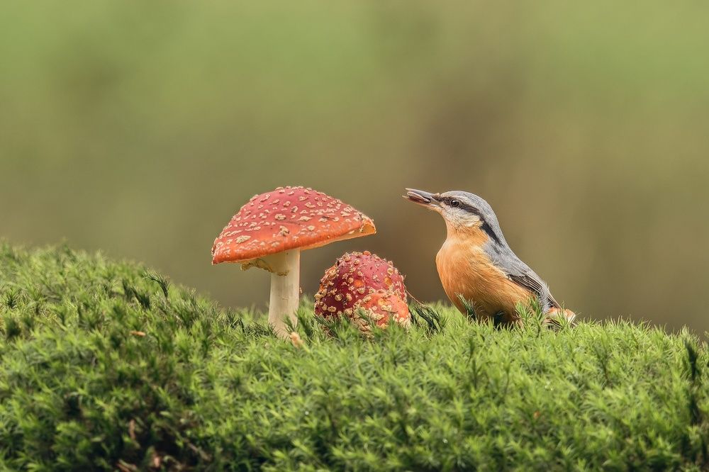 Photograph by Petra Navrátilová