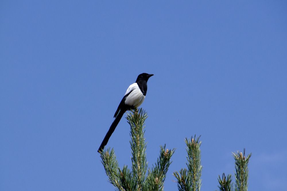 Photograph by Cengiz Yalcin