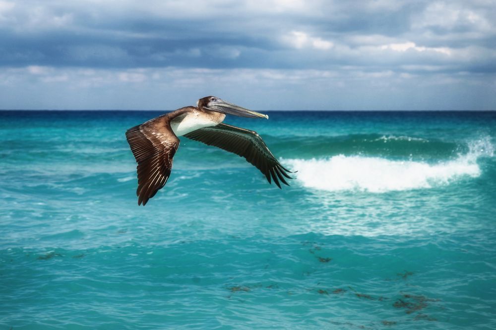 Photograph by Рашид Усманов