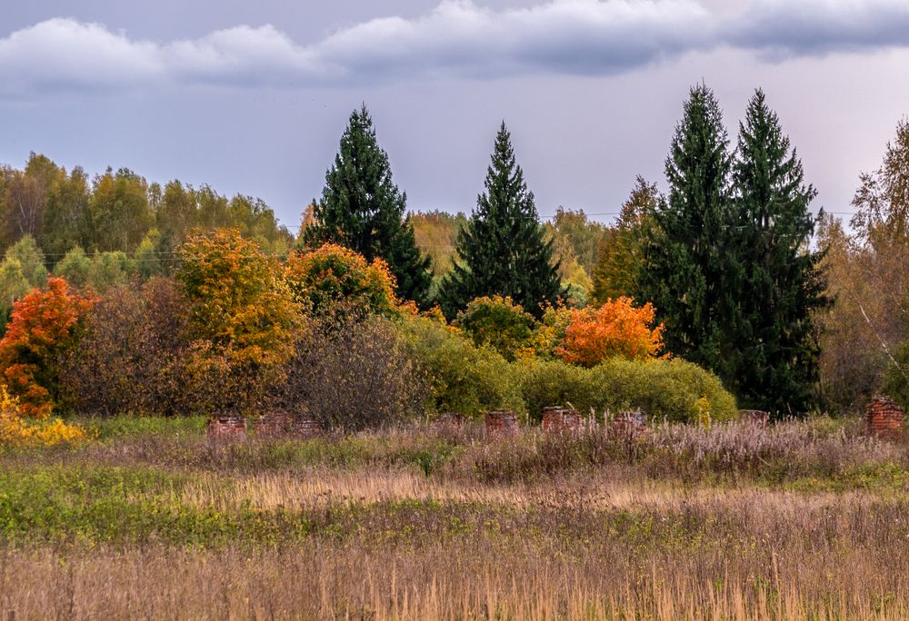 Photograph by Елена Ефимова