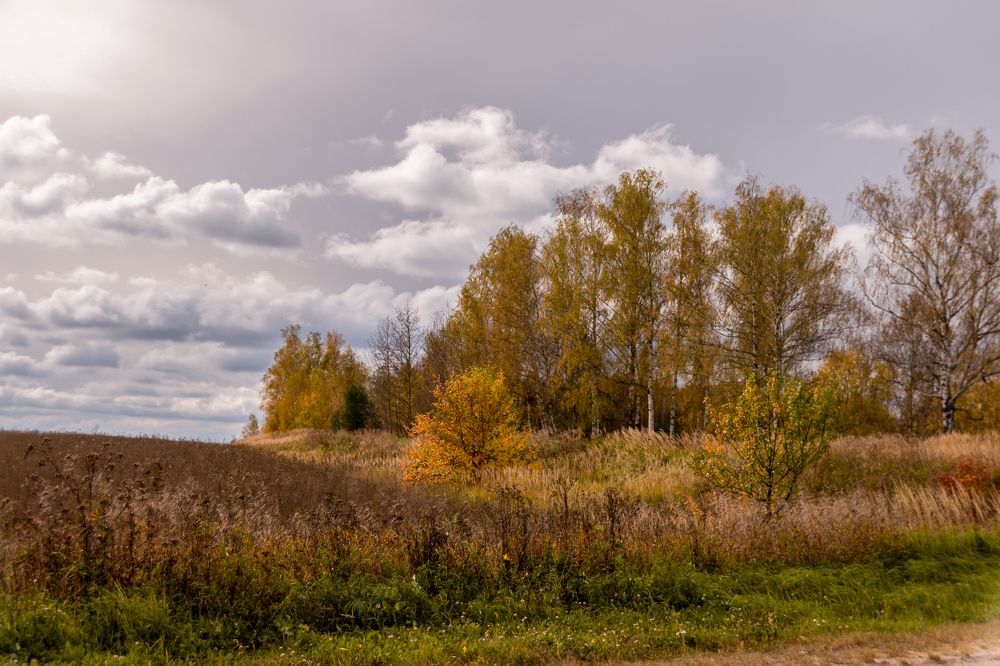 Photograph by Елена Ефимова