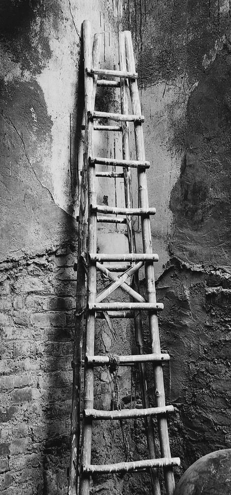 Photograph by G GOVIL