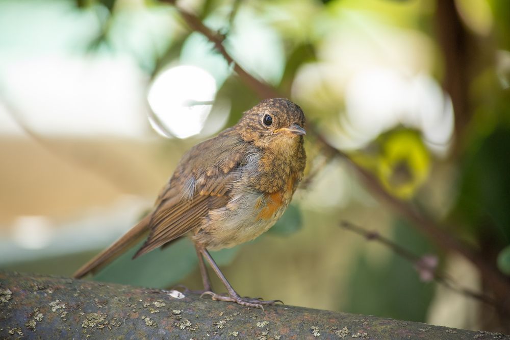 Photograph by Галина Молчанова
