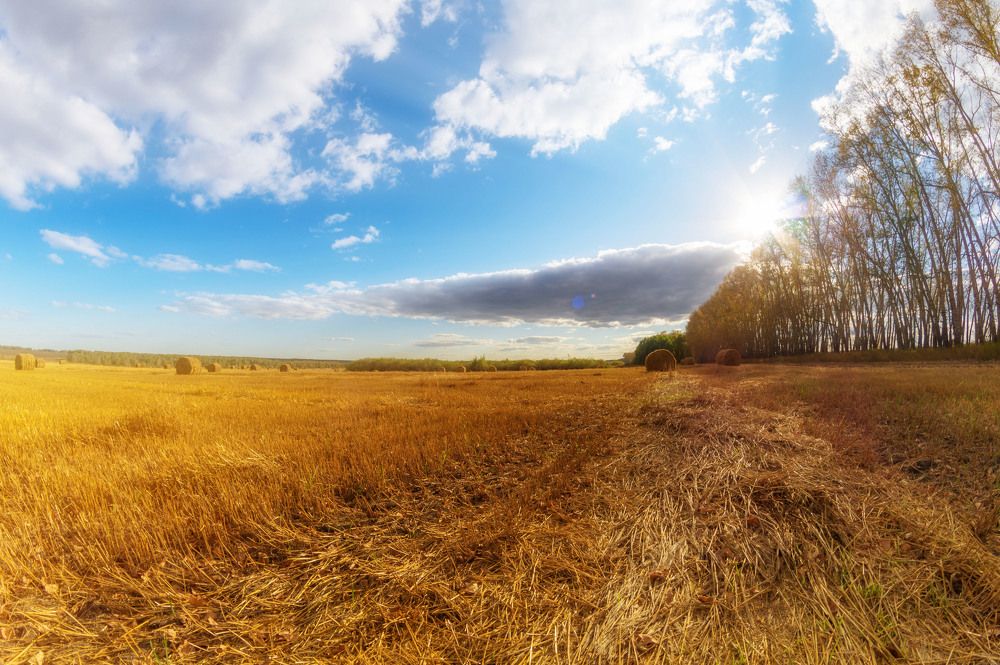 Фотография автора Виталий Сурков
