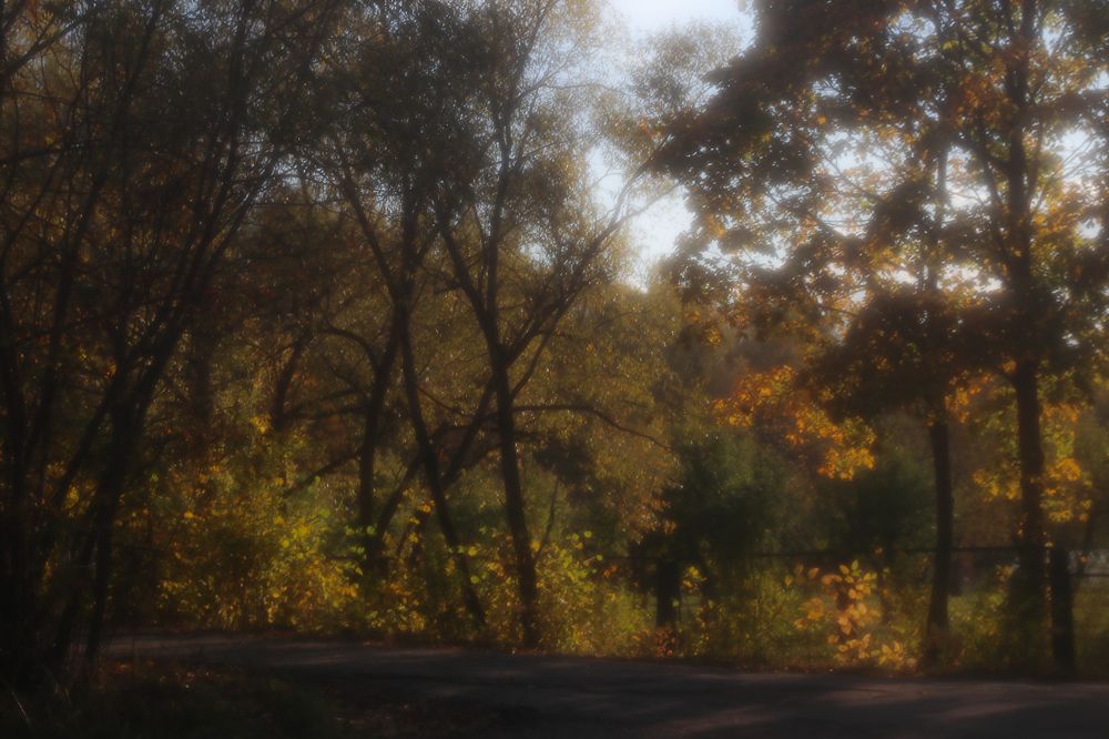 Photograph by Ирина Саломатина