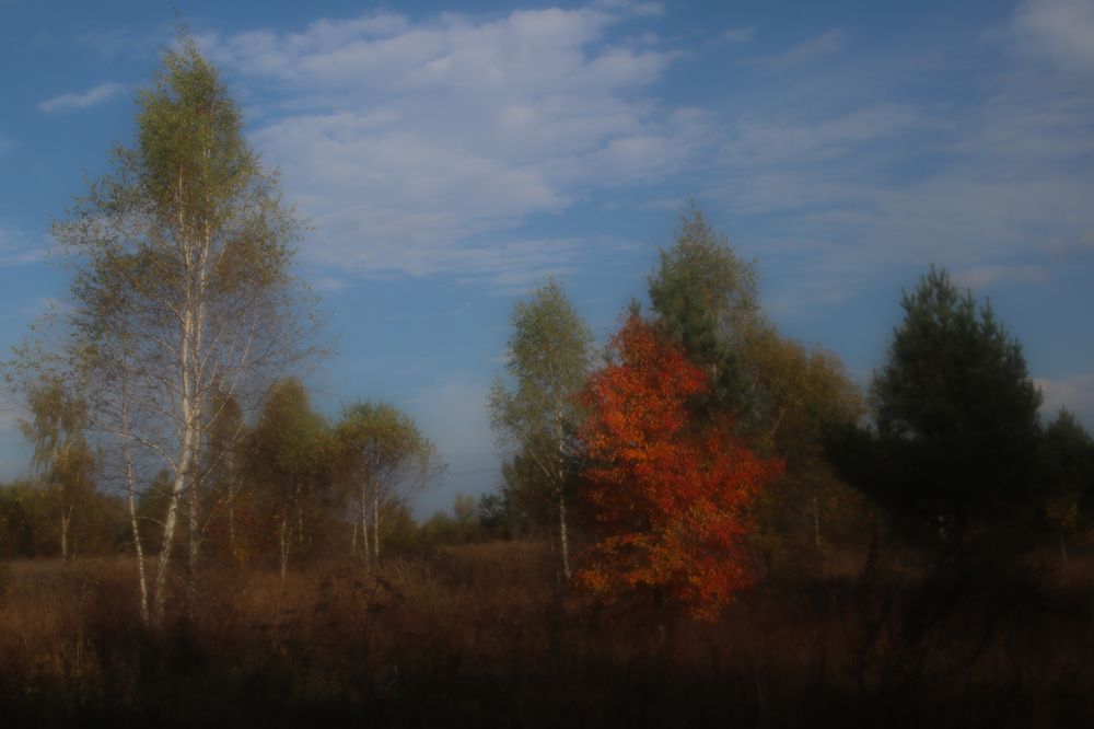 Photograph by Ирина Саломатина