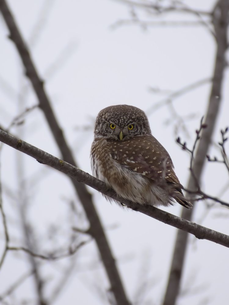 Photograph by Евгений