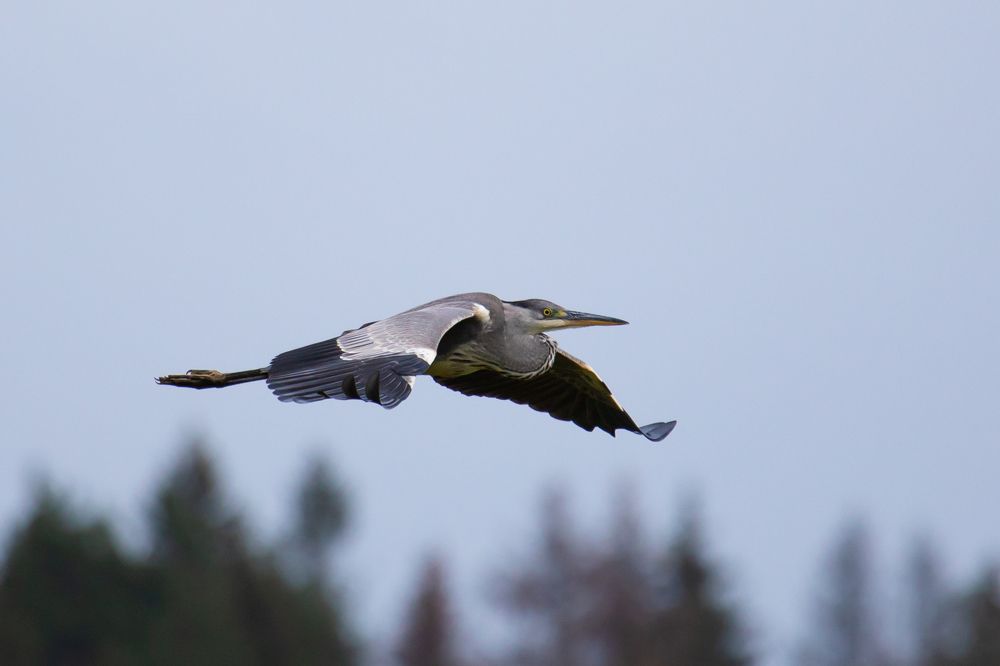 Photograph by Andrey Kul