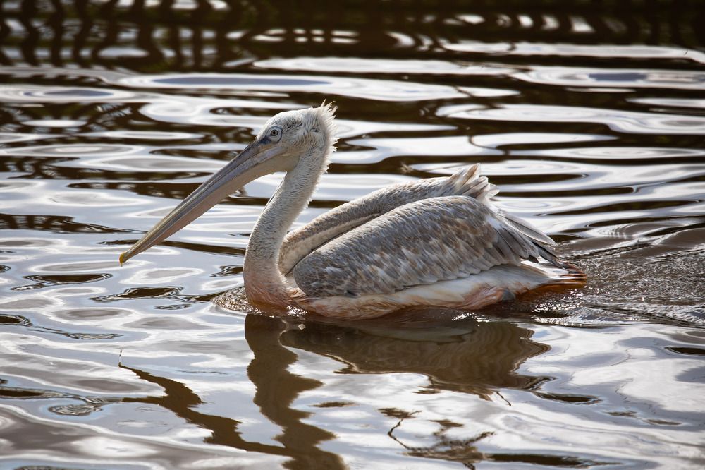 Photograph by Andrey Kul