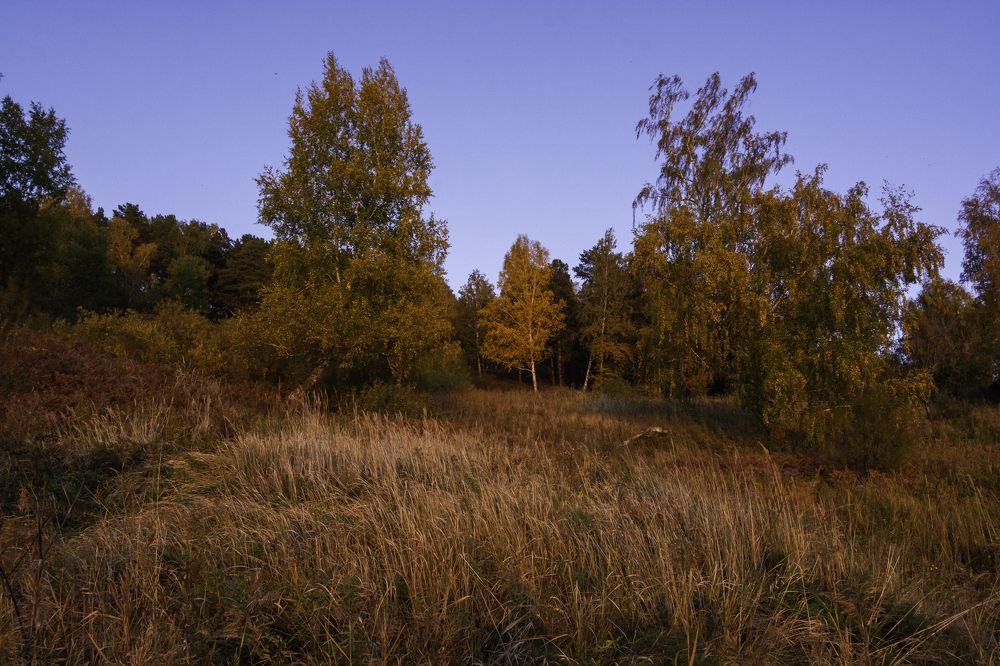 Photograph by Кирилл Савенко