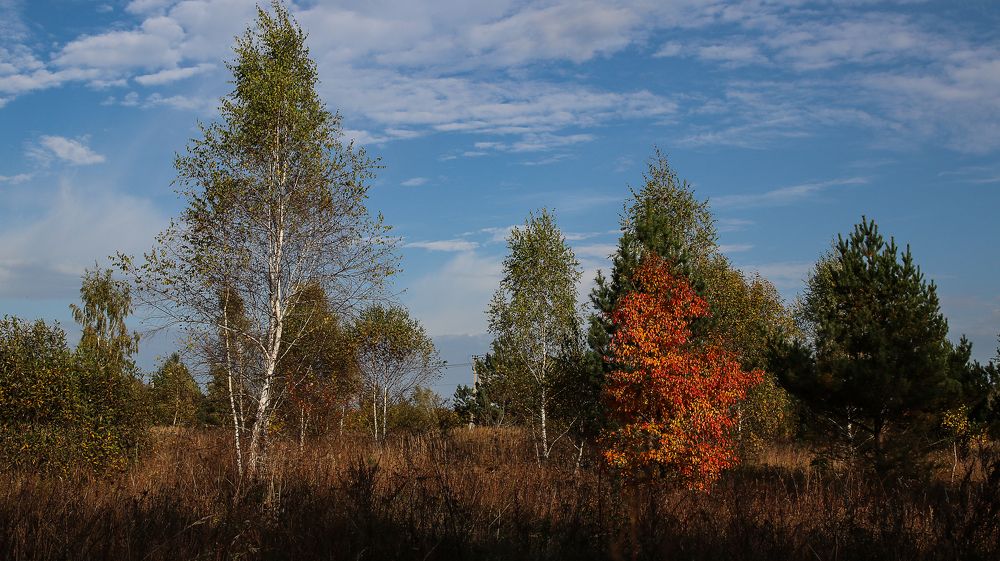 Photograph by Ирина Саломатина