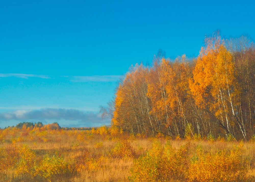 Photograph by Андрей Михайлин