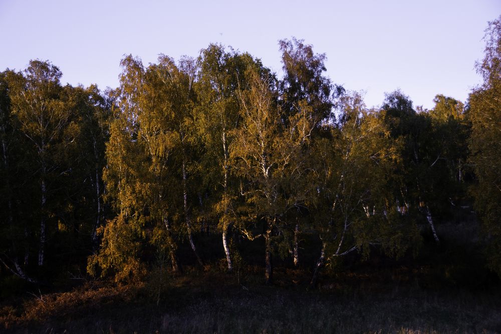 Photograph by Кирилл Савенко