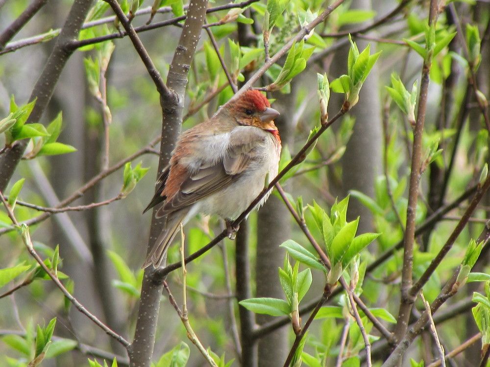 Кто тут ходит?