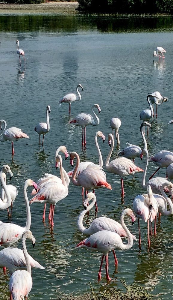 Photograph by Оксана Ермакова