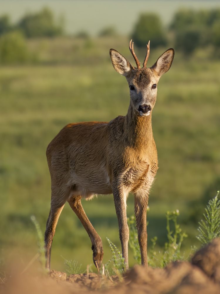 Photograph by Евгений