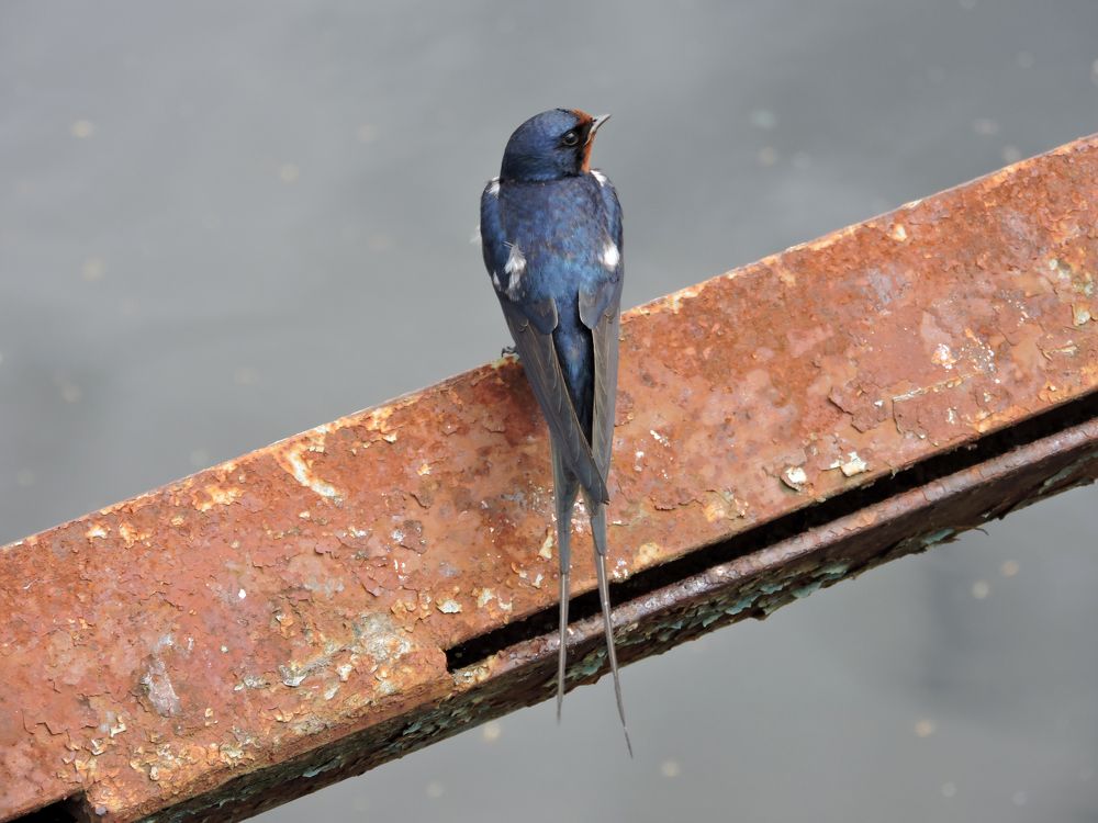 Photograph by Tatiana