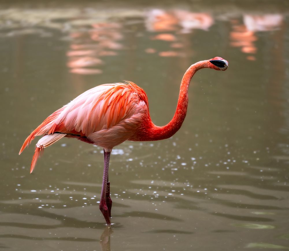 Photograph by Zavaydin Zavaydinov