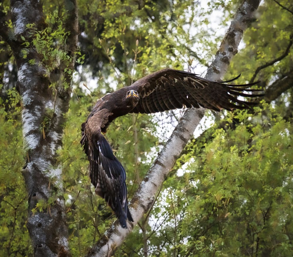 Photograph by Zavaydin Zavaydinov