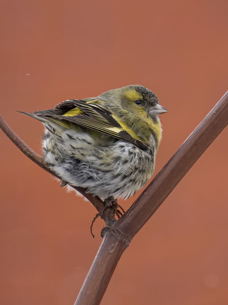 Photograph by Евгений