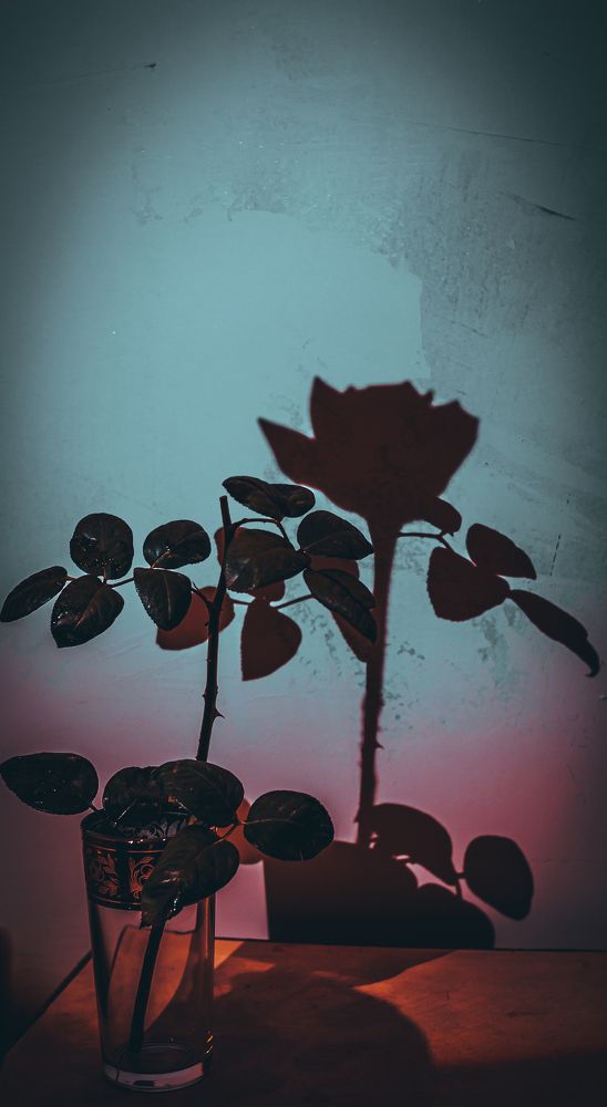 Photograph by Дмитрий Тютюнник