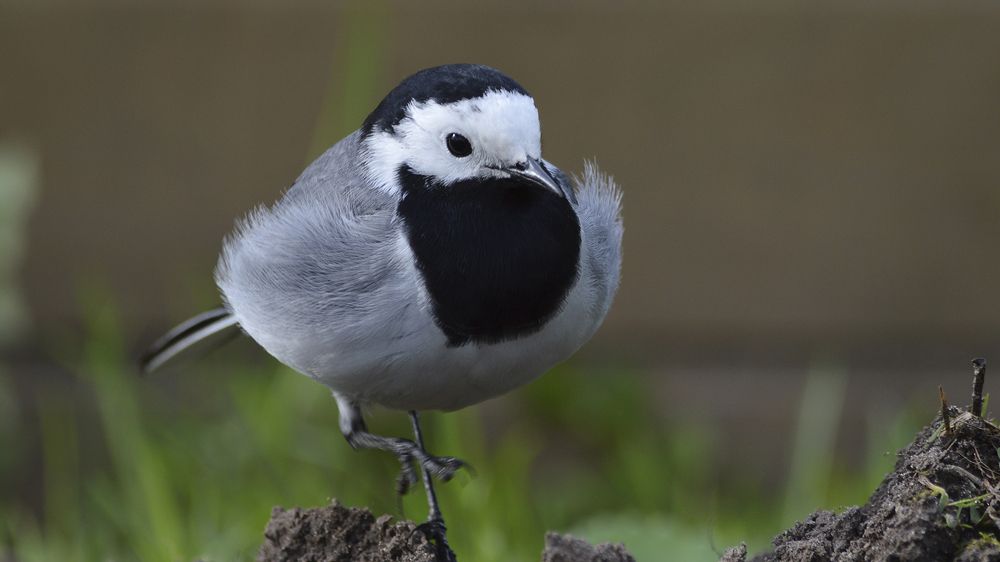 Photograph by Алексей Парамонов