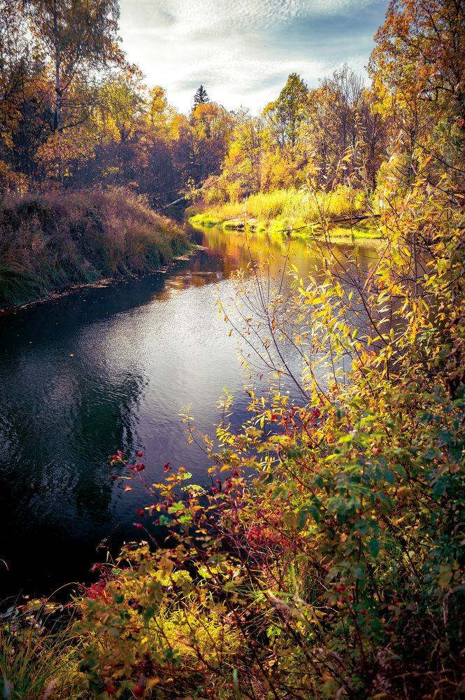 Photograph by Сергей Забиякин