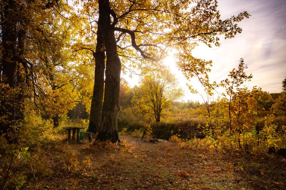 Photograph by Сергей Забиякин