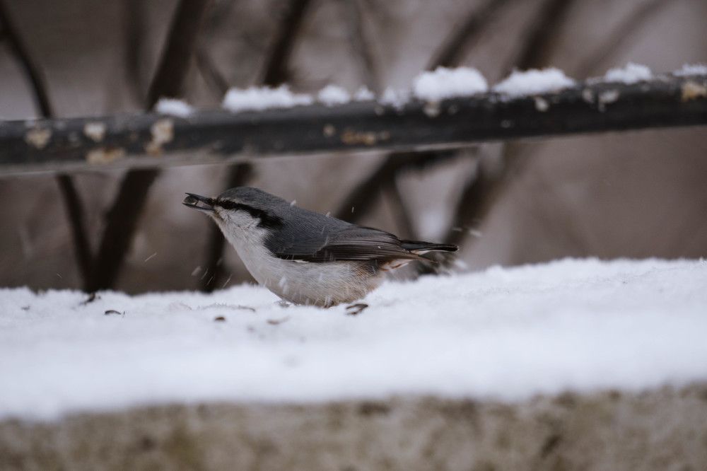 Photograph by Иван Кривоносов