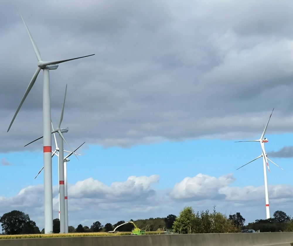 Photograph by Елена Симонова