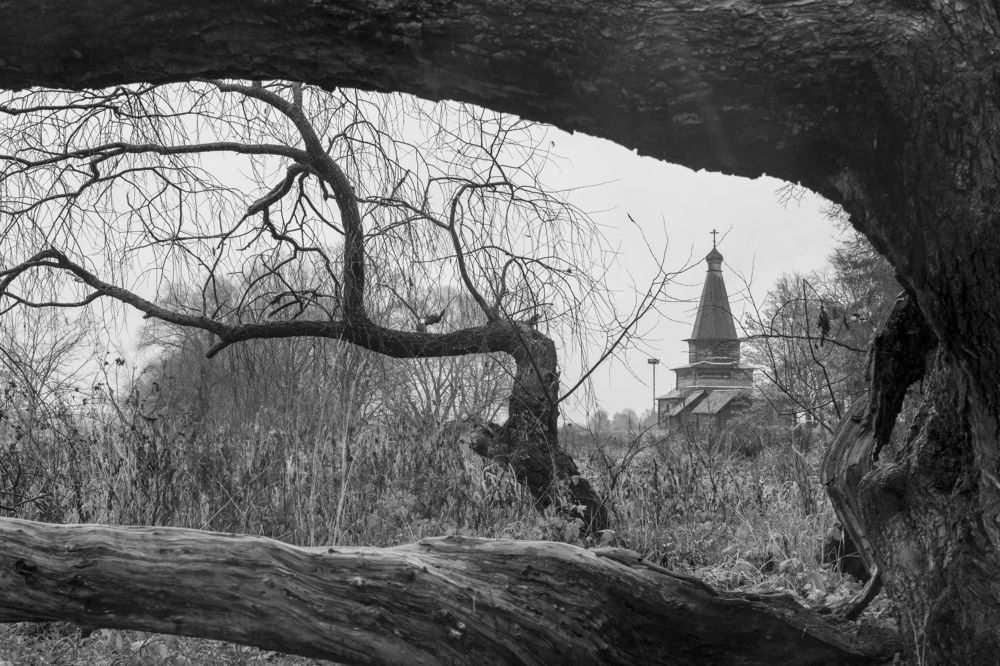 Photograph by Николай Литвак