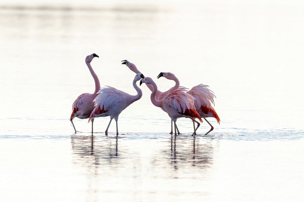 Фотография автора Maria Paz Lira