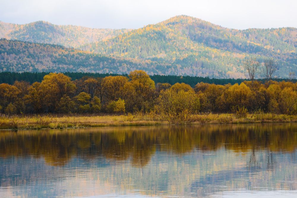 Photograph by Александр Аношкин