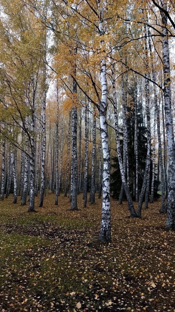 Photograph by Татьяна Яцкевич