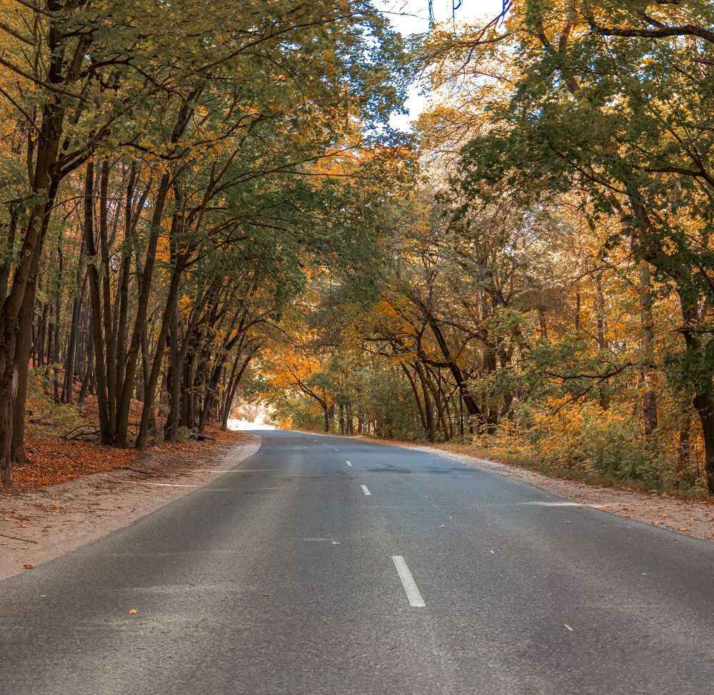 Photograph by Vitaly Lapin