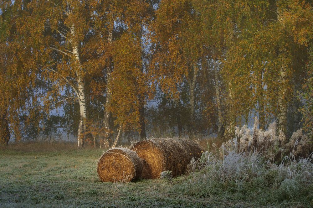 Photograph by Елена Кошелева