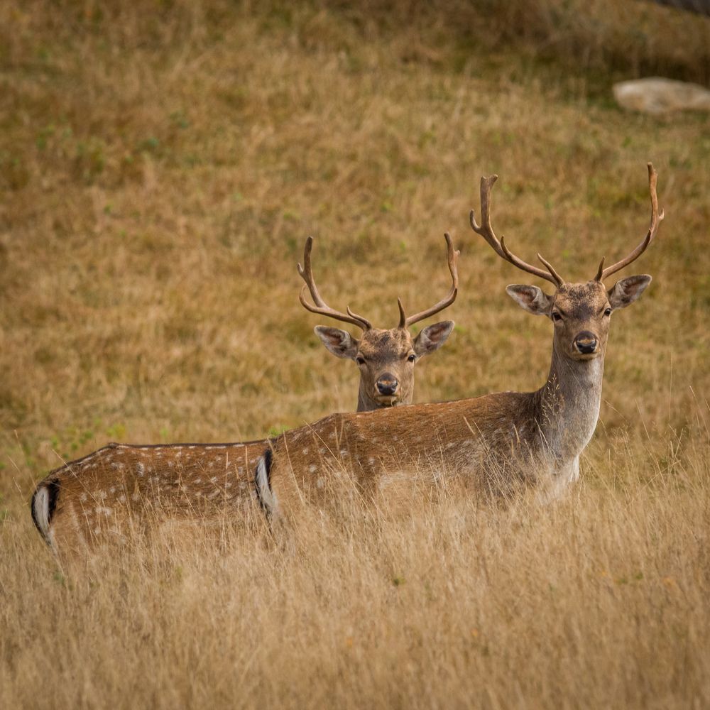 Photograph by Hell Boy