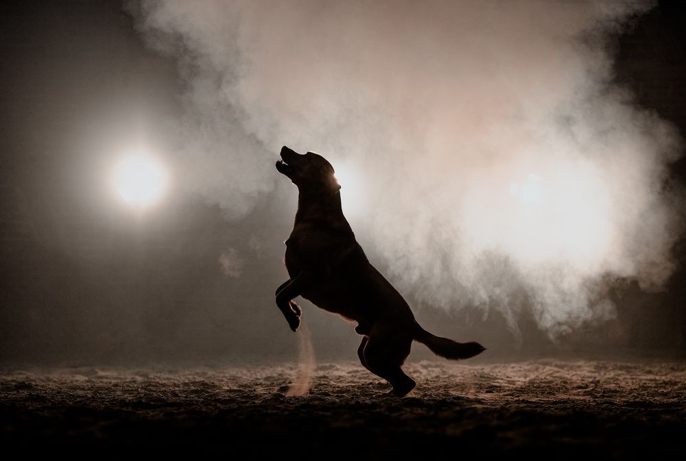 Фотография автора Fabienne Gassmann