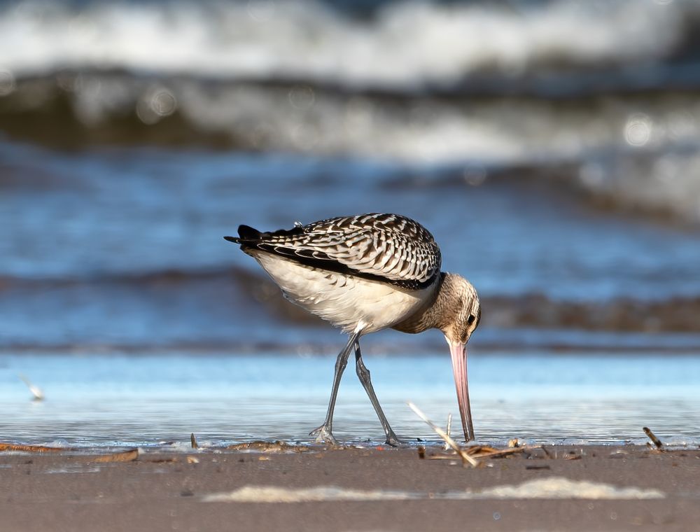 Photograph by Viktor Makarov