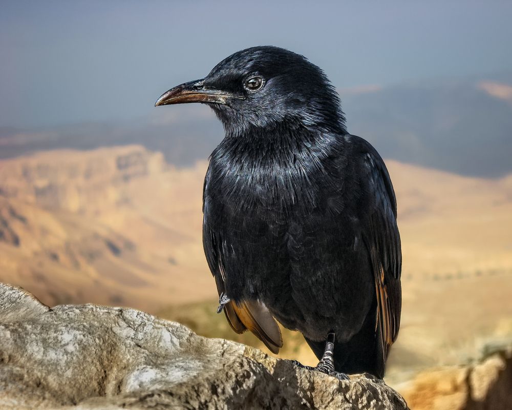 Photograph by Марина Ческис