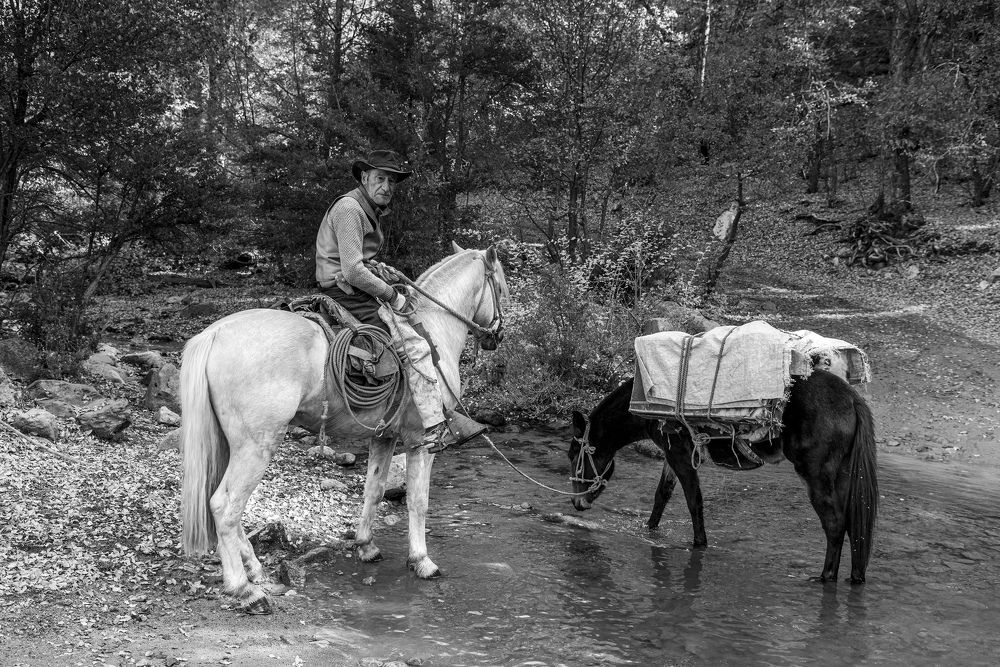 Фотография автора Maria Paz Lira