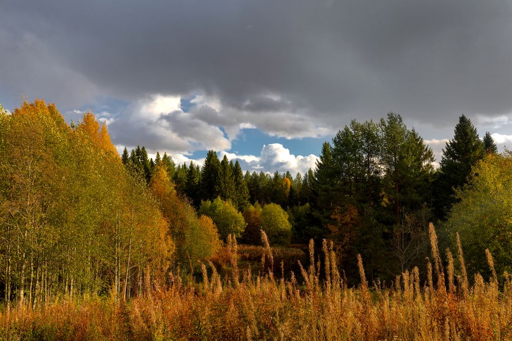 Photograph by Валентин Кузьмин