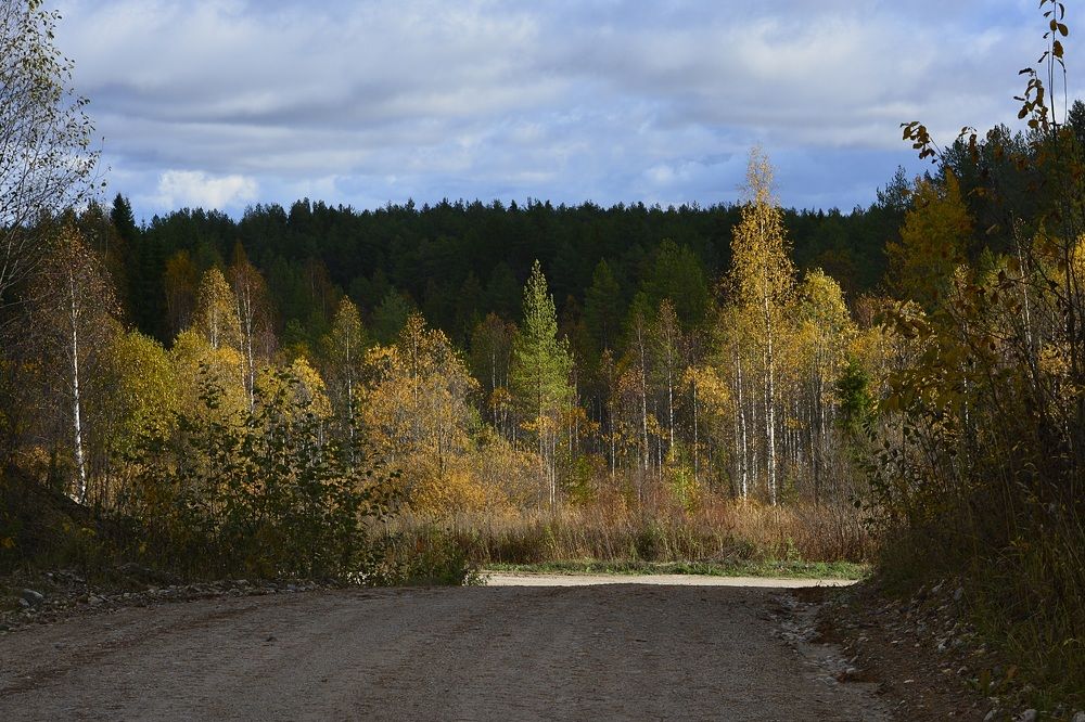 Photograph by Галина Катанова