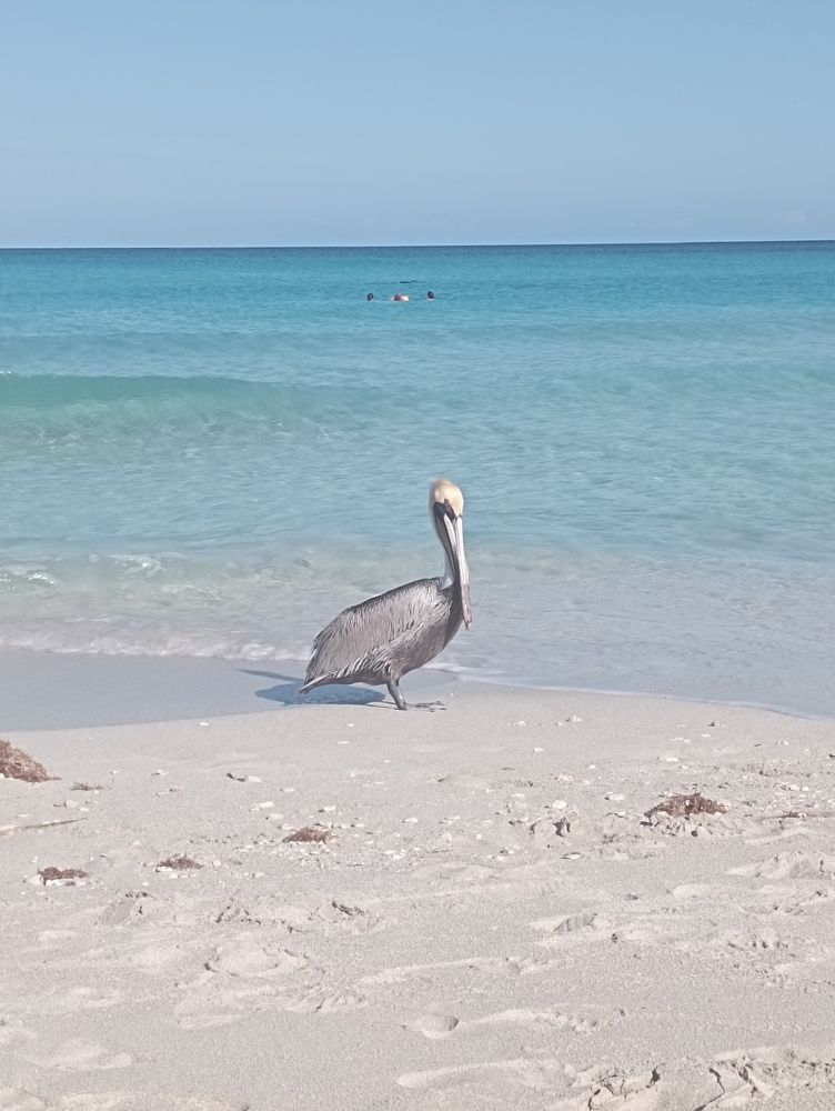 Фотография автора Natalia Khodina