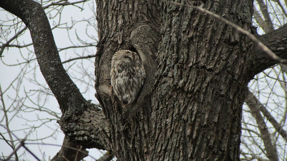 Photograph by Светлана Кравченко