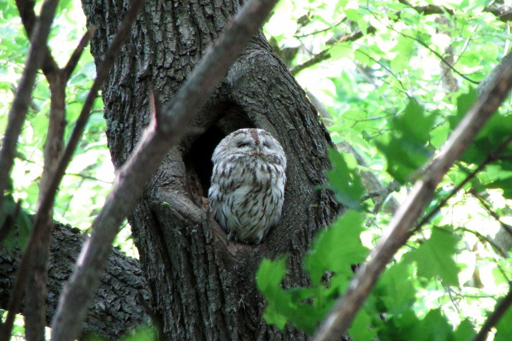 Photograph by Светлана Кравченко