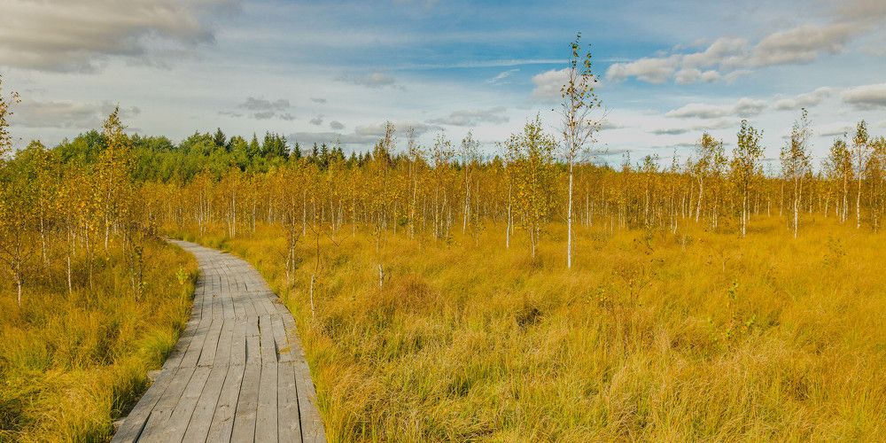 Фотография автора Екатерина Счасная