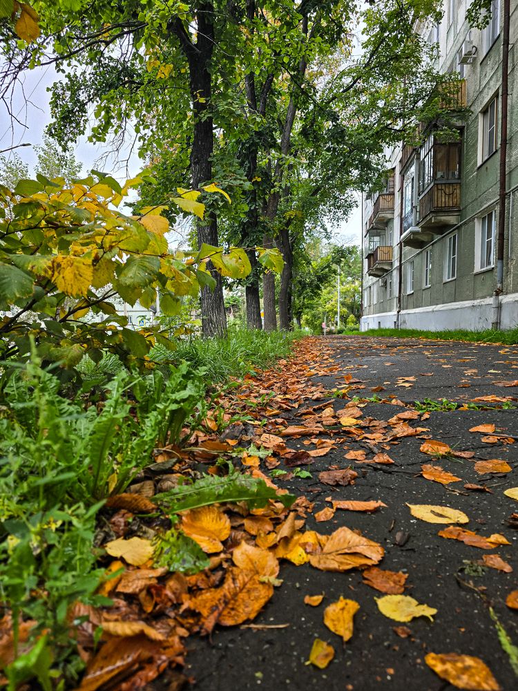 Photograph by Елена Ромашкина